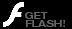 This Site Requires Macromedia Flash Plug-ins!
