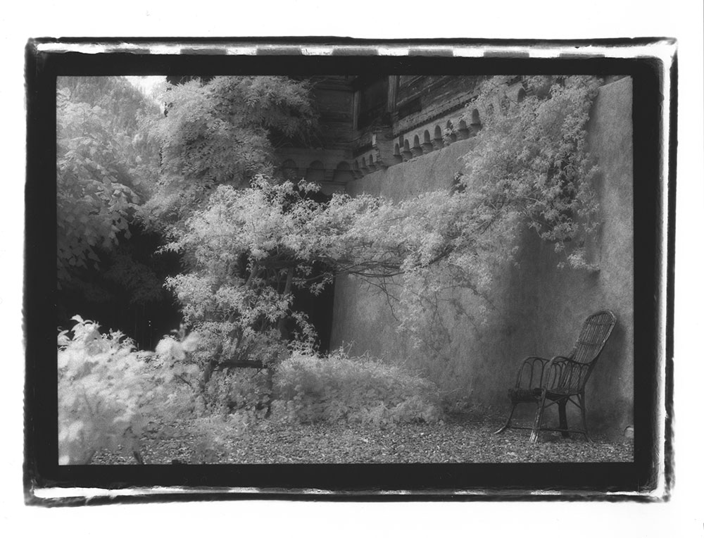 Mimi Craven Photography - Balthus